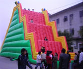 Inflatable Amusement Park With Red And Green Rock Climbing Wall , Ladder Step